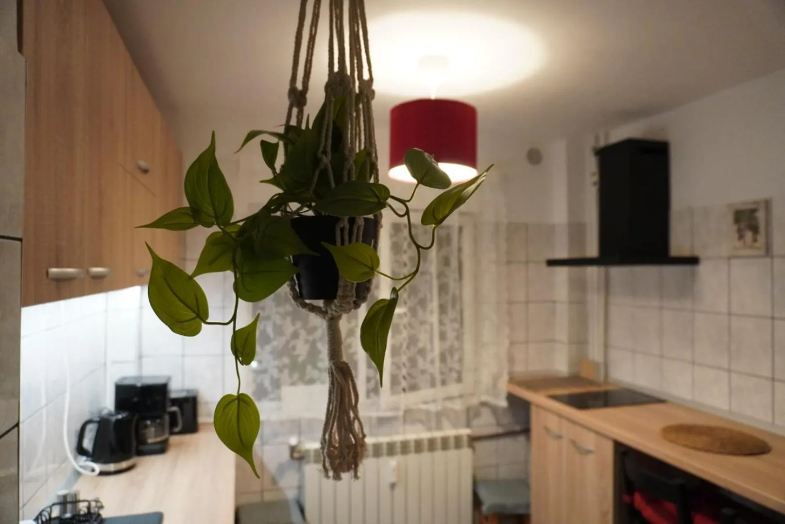 Apartment Gabry Elle'S Cozy Place - Calea Mosilor Bucharest Romania